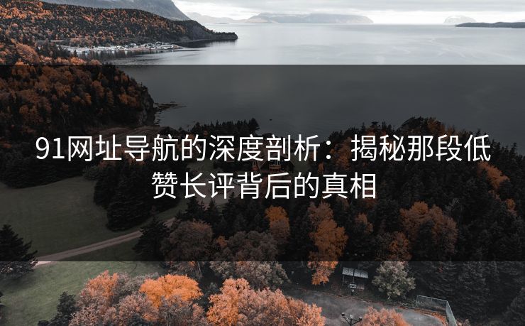 91网址导航的深度剖析:揭秘那段低赞长评背后的真相 91网址导航的深度剖析:揭秘那段低赞长评背后的真相