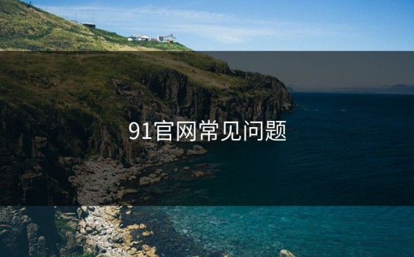 91官网常见问题
